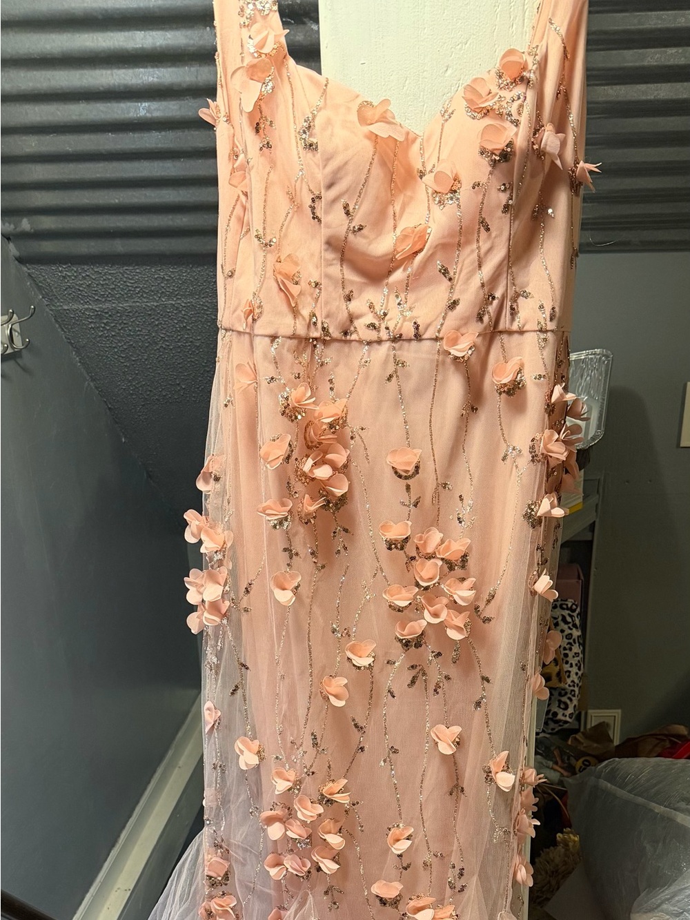 Fashion Nova Peach Blush 3D Floral Appliqué Prom Dress